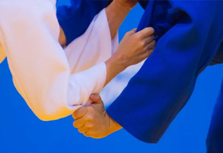 Gala de noël – Démonstration techniques Judo Randoris