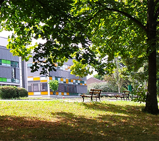 Lycées - Enseignement supérieur