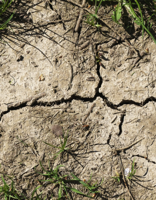 Reconnaissance de catastrophe naturelle