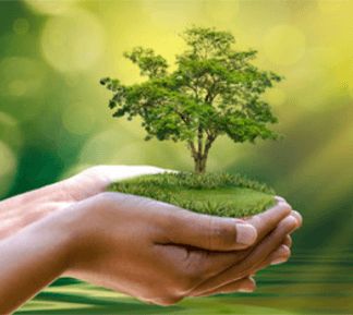 Réunion mensuelle – Association Horticole de Cusset et ses environs