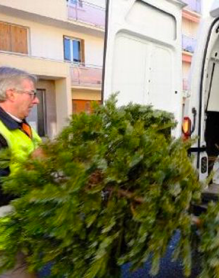 Ramassage 2024 des sapins de Noël