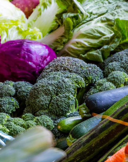 Réouverture des marchés hebdomadaires