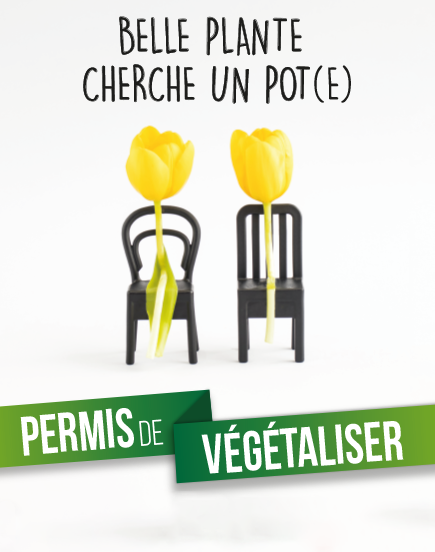 ENVIRONNEMENT /// Cusset lance son permis de végétaliser
