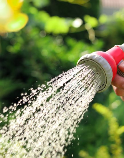 CRISE /// Restrictions des usages de l’eau