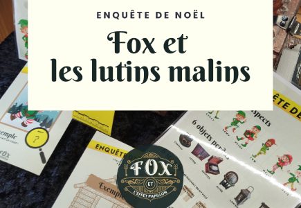 Enquête de Noël « Fox et les lutins malins »