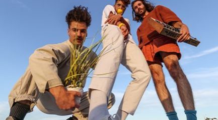 Mellow Yellow • Collectif TBTF