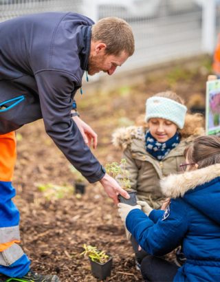 L'école Louis-Liandon poursuit sa métamorphose