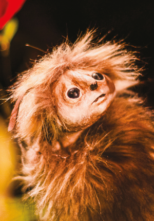 Sur les pas d'Oodaaq • Cie les décintrés