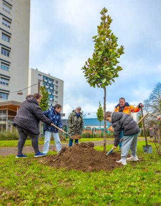Végétalisation de la cour de l'école Lucie-Aubrac