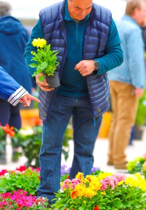 Marché de printemps 2026