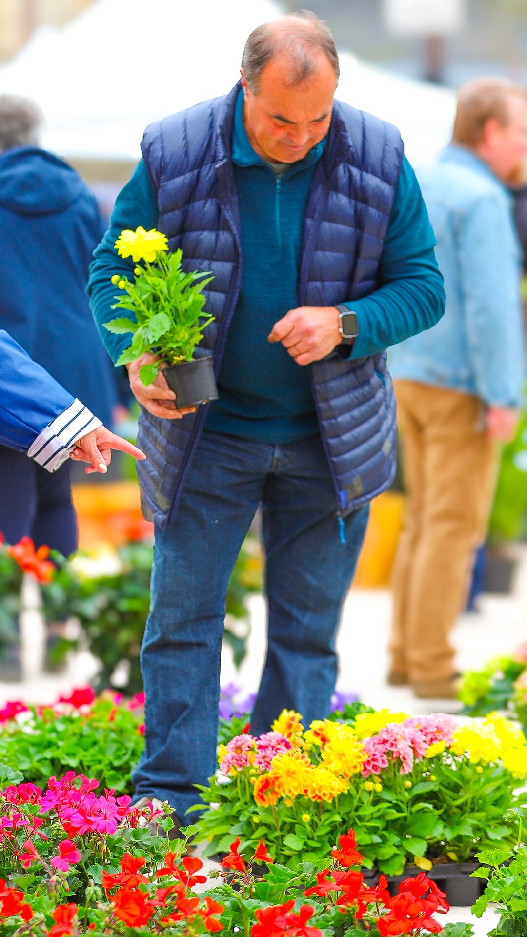 Marché de printemps