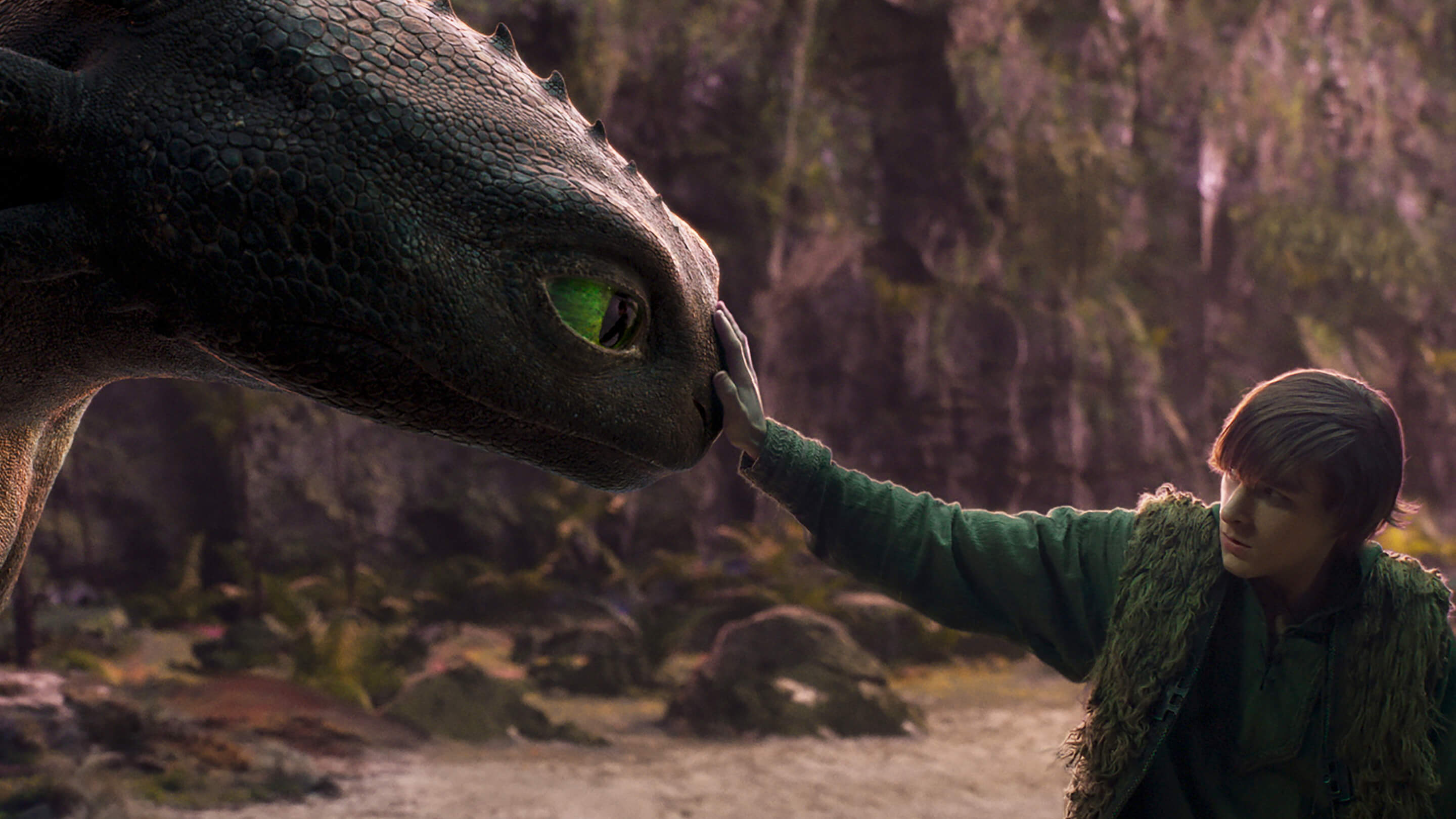 how-to-train-your-dragon-live-action-gallery-2