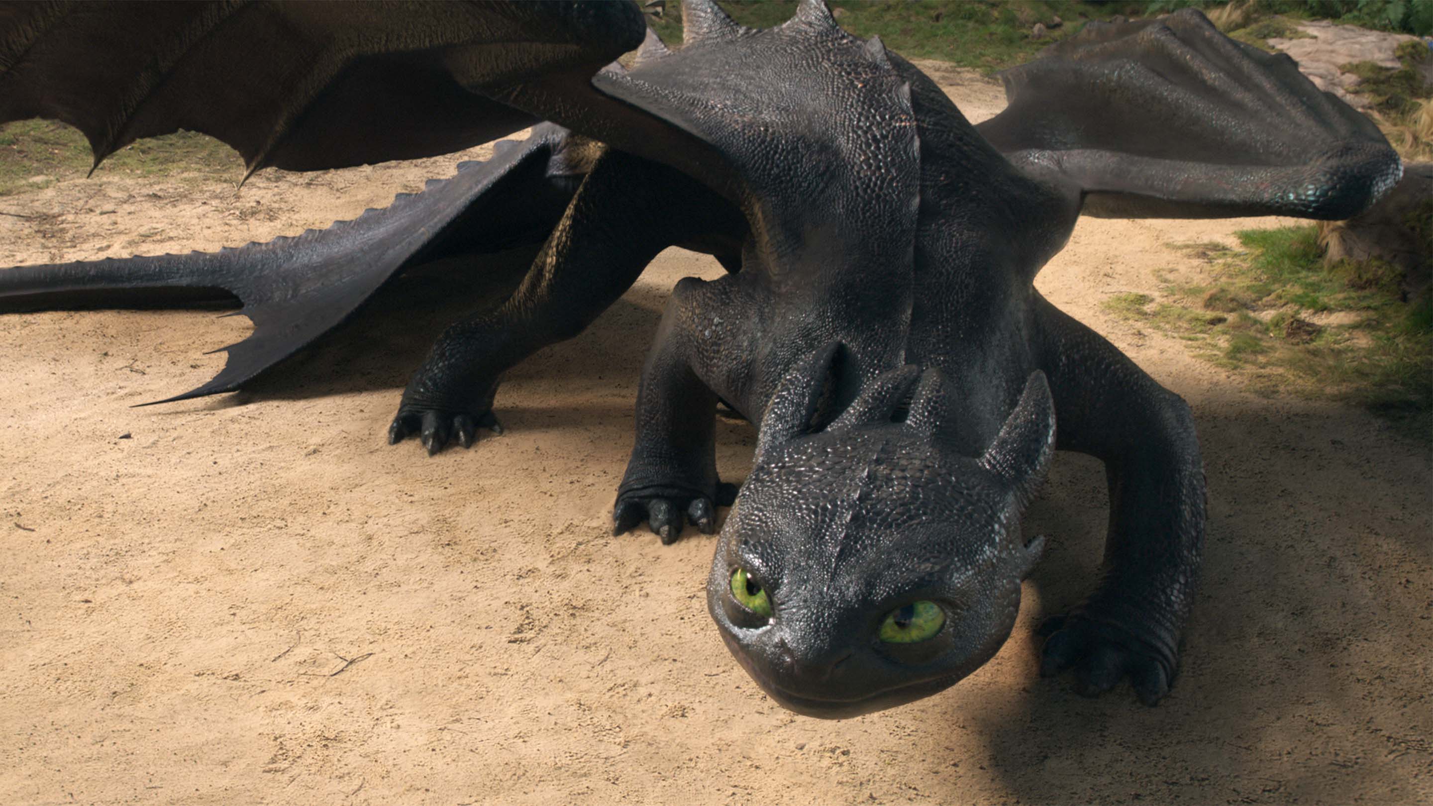 how-to-train-your-dragon-live-action-gallery-8