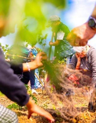 Plantation d'une haie pédagogique à Turgis