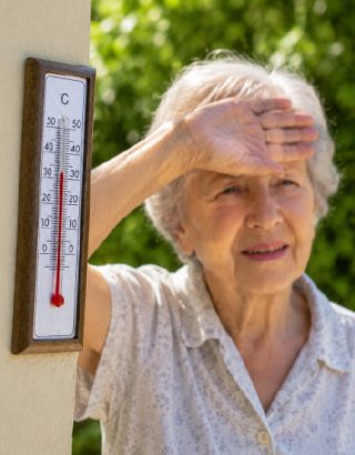 Plan Canicule